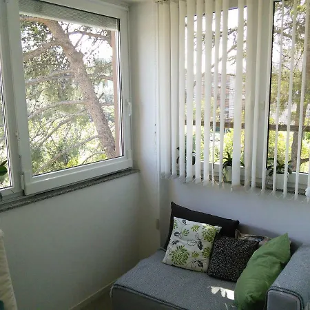 Apartmán Center V16 *